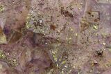 Chalcopyrite & Sphalerite on Purple-Yellow Fluorite -Cave-in-Rock #268524-1